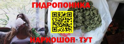 мдма Кингисепп