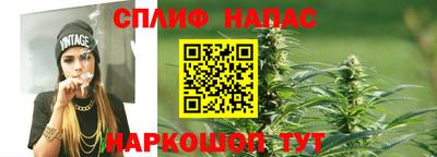 крисы Кимры