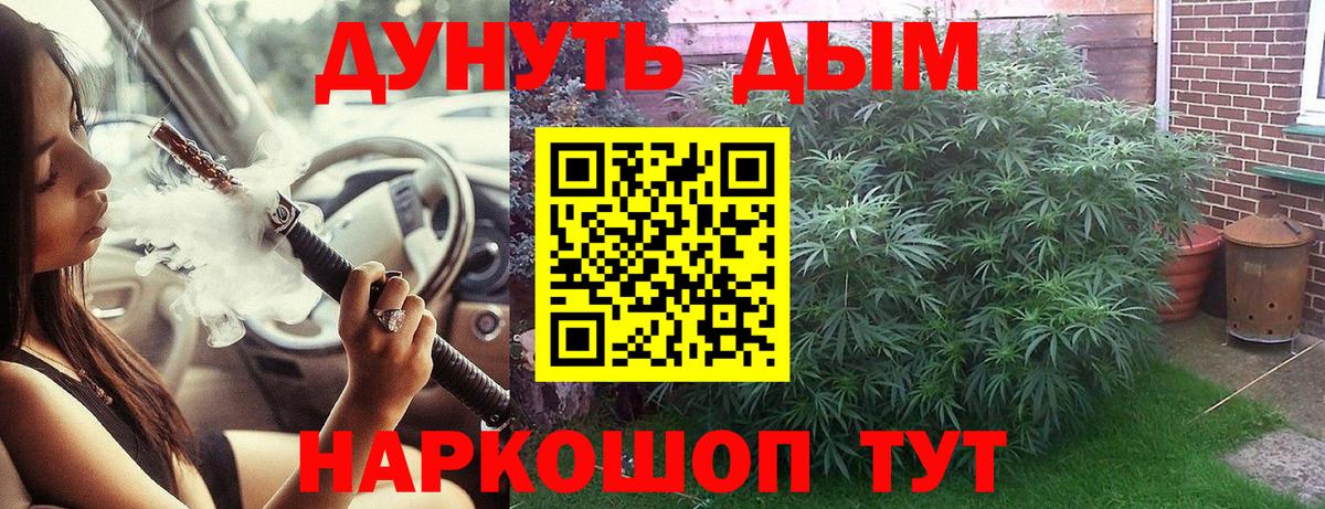 Бошки Шишки индика  Вход с VPN  Бошки марихуана марихуана  Кострома 